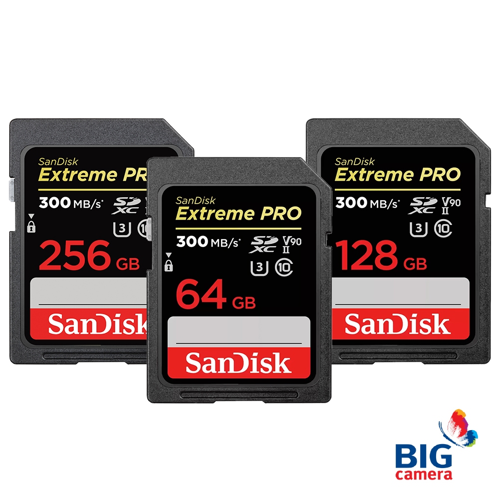 Sandisk SD Card Extreme Pro (V90) - เมมโมรี่การ์ด