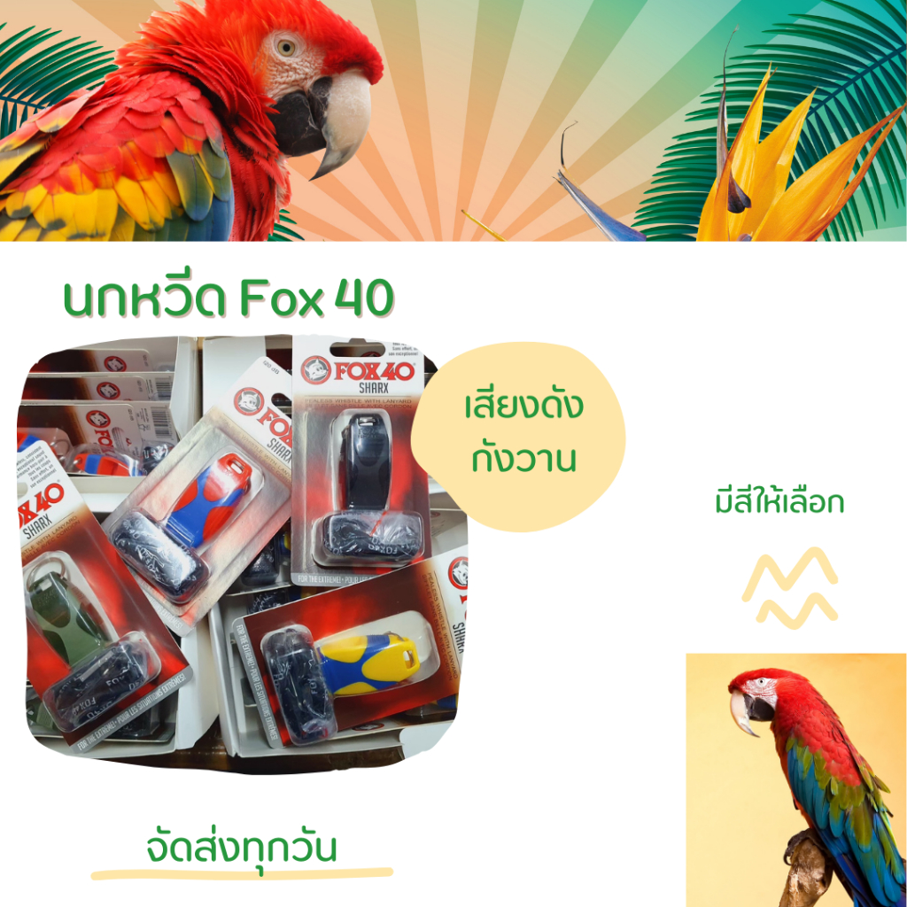 นกหวีดเหมาะสำหรับผู้ตัดสิน กิจกรรมกลางแจ้ง จราจร ทหารตำรวจ แล้วจัดเลี้ยง เสียงค่อนข้างดัง