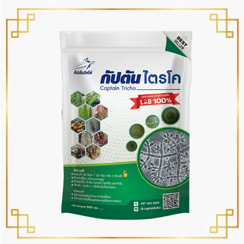 ของเเท้100% ไตรโคเดอร์มา (500 กรัม) กัปตันไตรโค ฆ่าโรคเชื้อรา ปลอดภัย 100 %