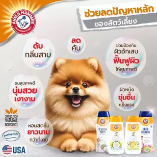 [แบรนด์แท้ USA🇺🇸] Arm and Hammer แชมพูสุนัข ลูกสุนัข แชมพูกำจัดกลิ่นตัว ขนหอม ขนนิ่ม