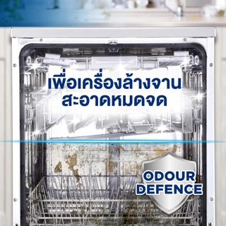Finish [แพ็ค 4] ฟินิช ดิชวอชเชอร์ คลีนเนอร์ ทำความสะอาดเครื่องล้างจาน 250 มล.
