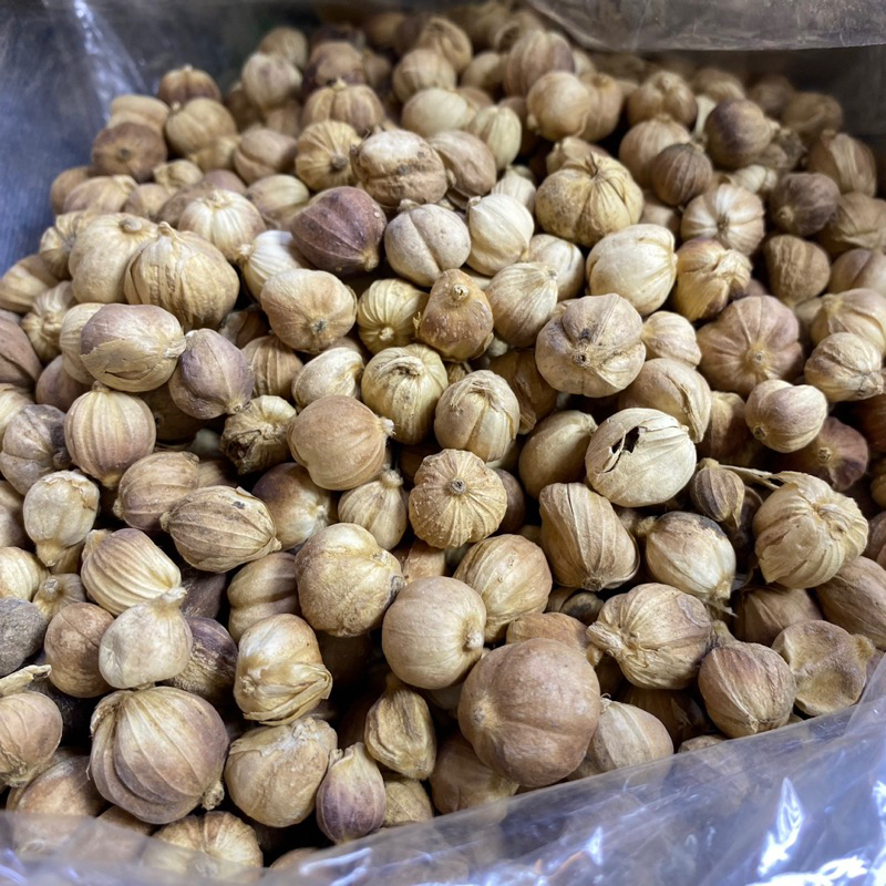 ลูกกระวานเทศ เครื่องเทศ - รูปที่ 2