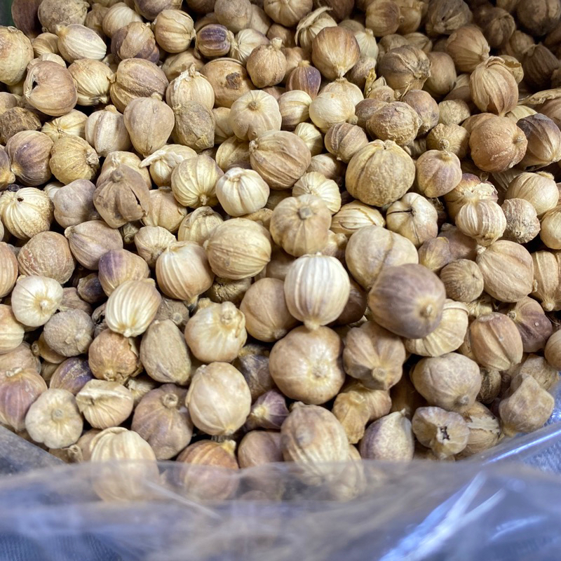 ลูกกระวานเทศ เครื่องเทศ