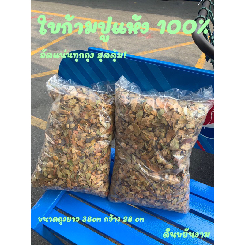 ใบก้ามปูแห้ง แท้ๆ 100% ใช้ปลูกต้นไม้ สินค้าพร้อมส่ง