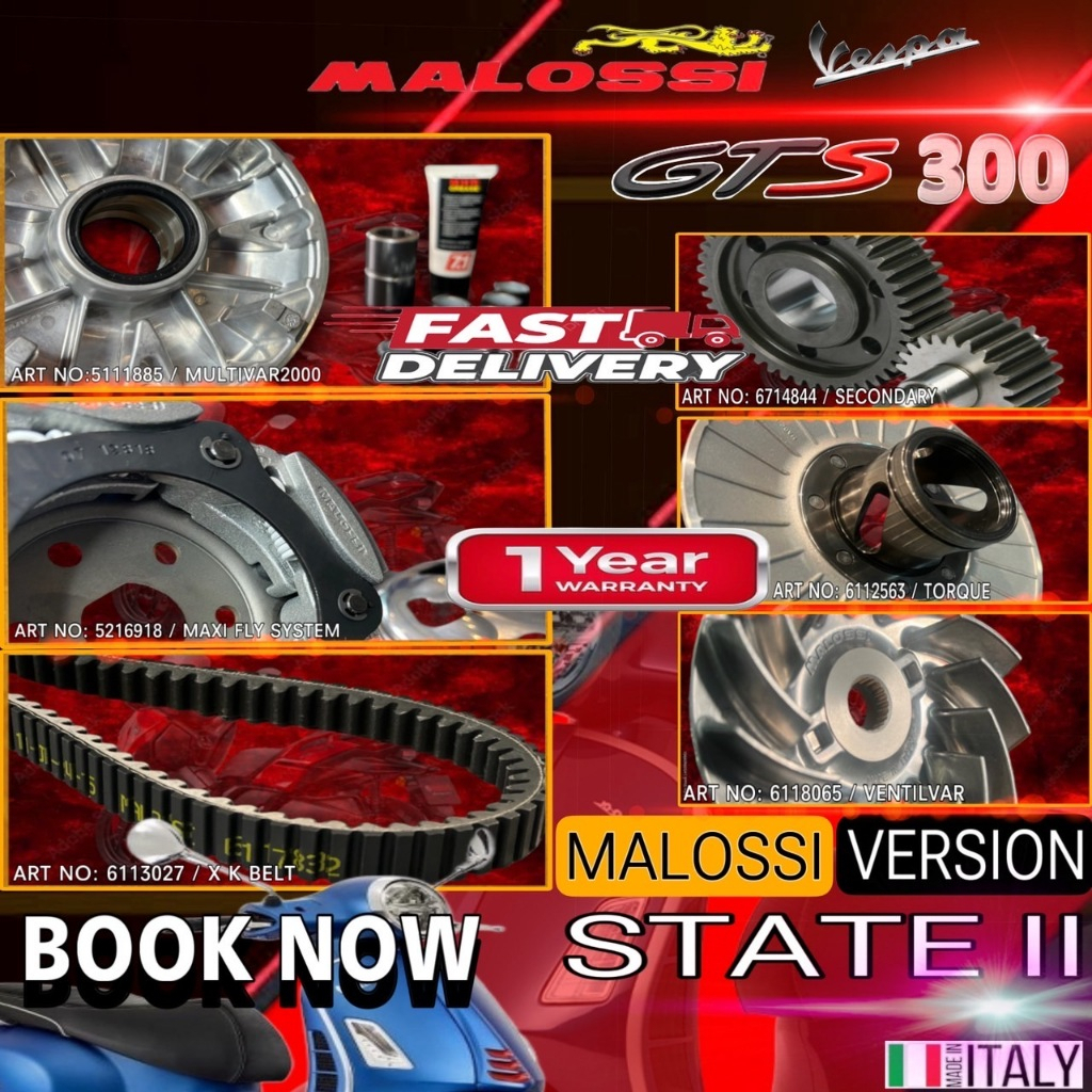 ชุดข้างอัพเกรด MALOSSI สำหรับ GTS 300 NO:5111885 NO:5216918 NO:6113027 NO:6118065B  NO:6112563 NO:67