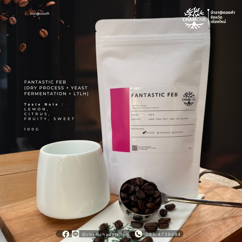 ฉำฉาดอยคำ เมล็ดกาแฟพรีเมี่ยม อาราบิก้าแท้ 100 %  specialty Fantastic Feb  (Dry Process + Yeast Fer