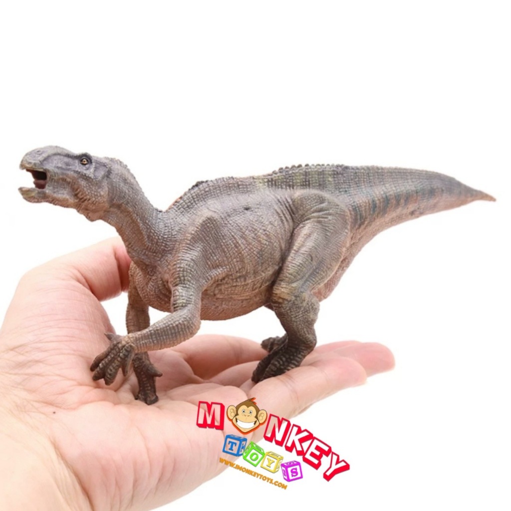 Monkey Toys - โมเดล ไดโนเสาร์ Iguanodon น้ำตาล ขนาด 23.00 CM (จากหาดใหญ่)