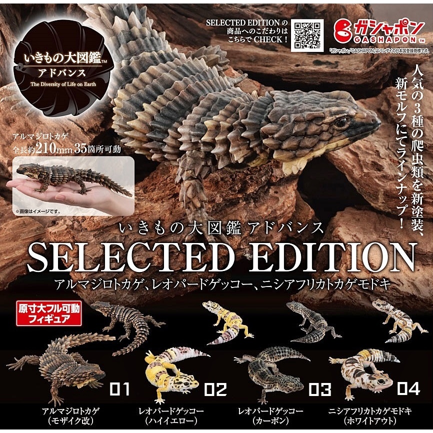 (เพิ่มกิ้งก่าพร้อมส่ง) กาชาปองกิ้งก่ามังกรตุ๊กแกเสือดาว Gashapon Bandai Premium Armadillo Lizard Leo