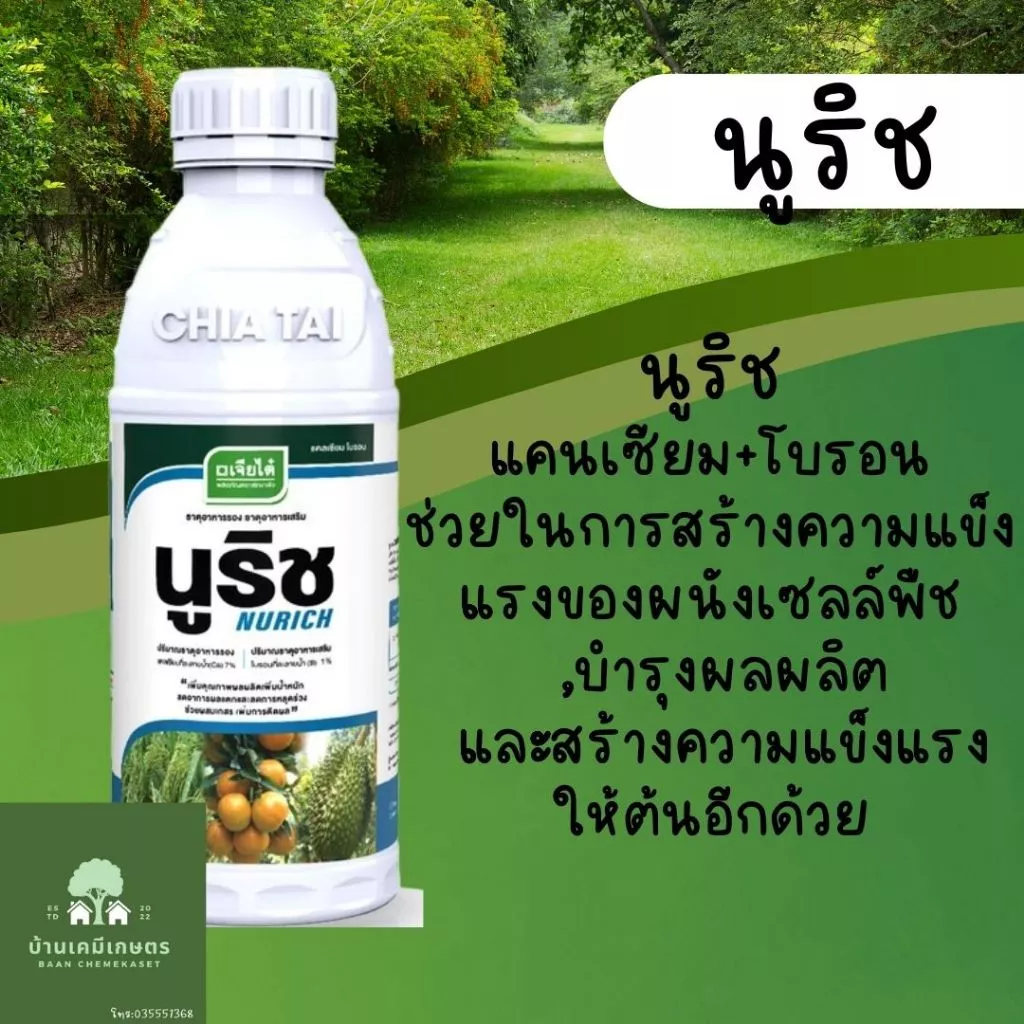 นูริช แคนเซียมโบรอน 1 ลิตร