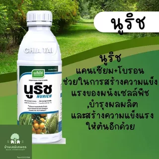 นูริช แคนเซียมโบรอน 1 ลิตร