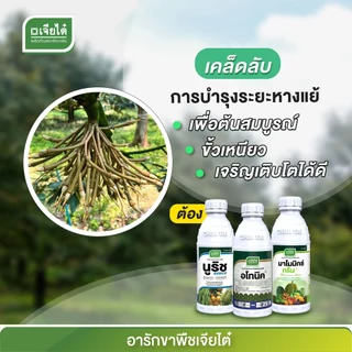 นูริช แคนเซียมโบรอน 1 ลิตร