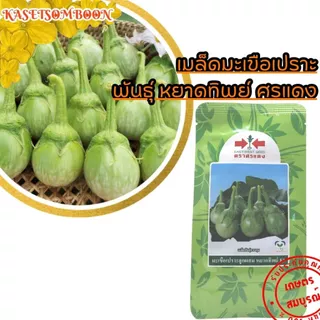 มะเขือเปราะหยาดทิพย์ เจ้าพระยา เมล็ดพันธุ์ 20 ก. ตราศรแดง