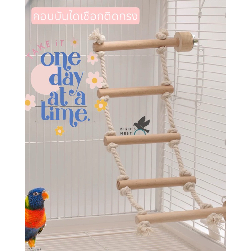 คอนบันไดเชือกติดกรงสำหรับปีนป่าย
