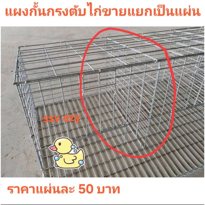 แผงกั้นกรงตับไก่ไข่ ขายแยกเป็นแผ่นสำหรับกั้นเพิ่ม(50฿ต่อแผ่น) สต๊อคแน่น