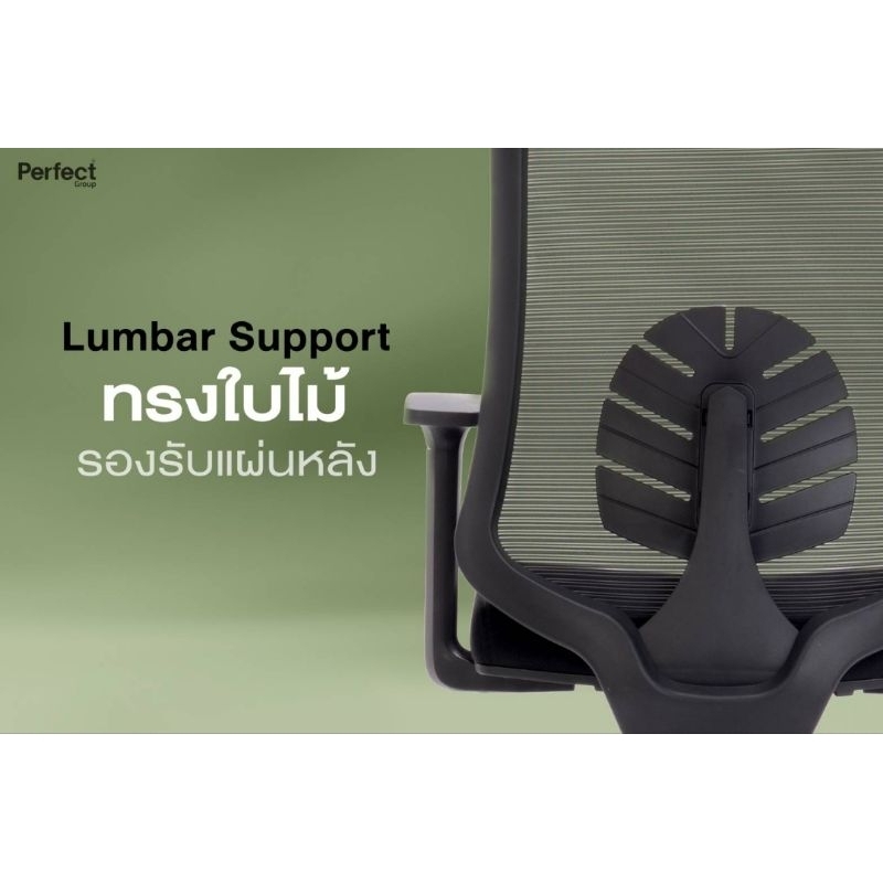 Perfect LEAF SERIES เก้าอี้ทำงานเพื่อสุขภาพ รุ่น POF สีดำ รูปที่ 6
