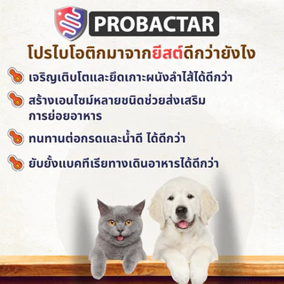 Probactar โปรไบโอติกจากยีสต์สำหรับสุนัขและแมว ปรับสมดุลทางเดินอาหาร ลดปัญหาท้องผูก ท้องเสีย อาหารไม่ย่อย