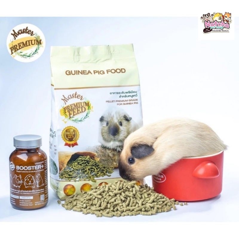 Master Permium guinea pig food อาหารเสริมวิตามิน อาหารหนูแกสบี้ ชินชิล่า สัตว์ฟันเเทะ