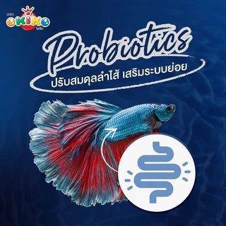 อาหารปลากัด Okiko Betta Bright Super Color อาหารปลากัดสูตรพรีเมี่ยม #ปลากัดทุกสายพันธุ์ ล๊อตใหม่เก็บได้นาน ซองซิปล๊อก