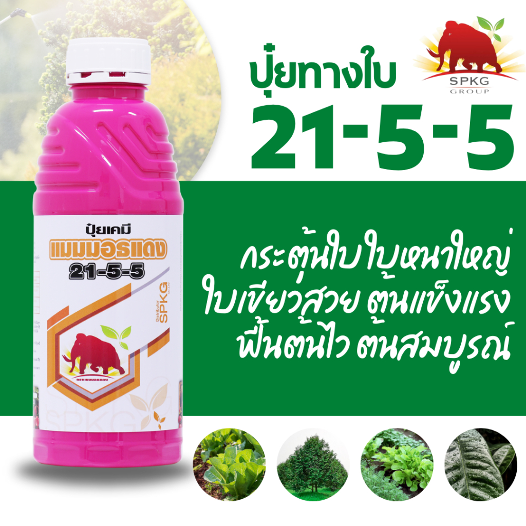 ปุ๋ยทางใบ ปุ๋ยน้ำ 21-5-5 บำรุงใบ ขยายใบ เขียวเร็ว เขียวนาน รากแข็งแรง ไม้ใบ กระท่อม กัญชา ปุ๋ย บำรุง โตเร็ว 1 ลิตร