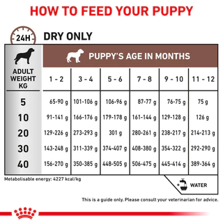 Royal Canin Vet Dog 1 kg Gastro Puppy อาหารเม็ดลูกสุนัขท้องเสีย