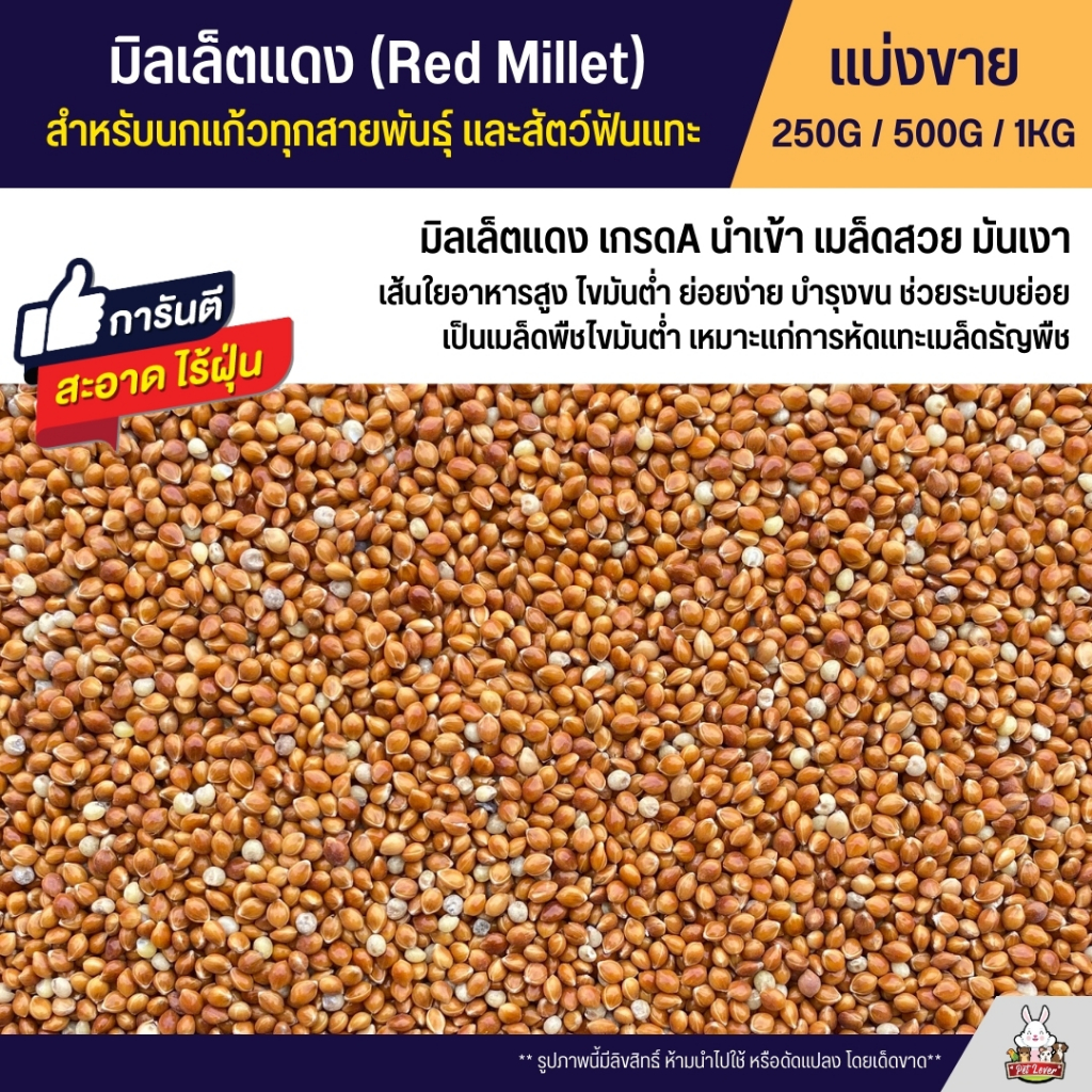 มิลเล็ตแดง Red Millet เกรดA อาหารนกแก้ว และสัตว์ฟันแทะ สะอาด ร่อนฝุ่นทุกถุง (แบ่งขาย 250G / 500G / 1KG)