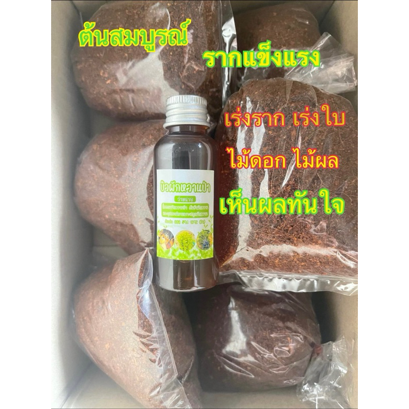 ยาเร่งรากเข้มข้น 50มล.น้ำยาเร่งราก กระตุ้นการแตกใบอ่อน บำรุงราก ต้นสมบูรณ์