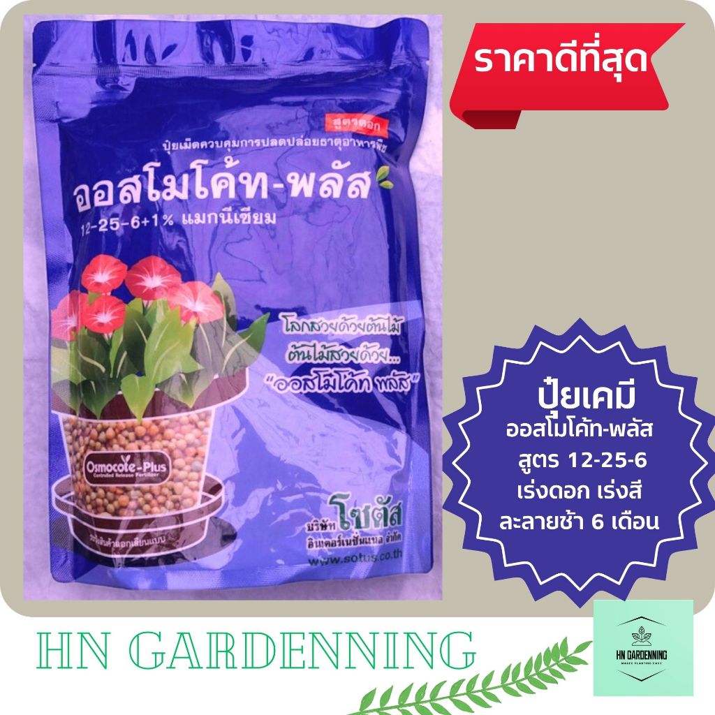 ออสโมโค้ท พลัส (Osmocote Plus) 1 กก. เร่งดอก ออกดอก เร่งสีดอก 12-25-6 ปุ๋ยละลายช้า กล้วยไม้ อโกนีมา กุหลาบ ชวนชม  หน้าวั