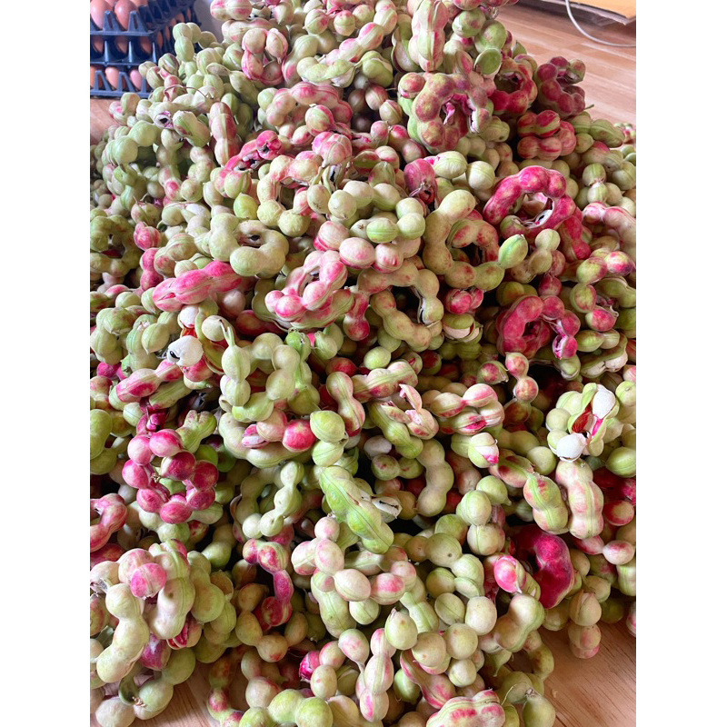 รูปภาพ 2