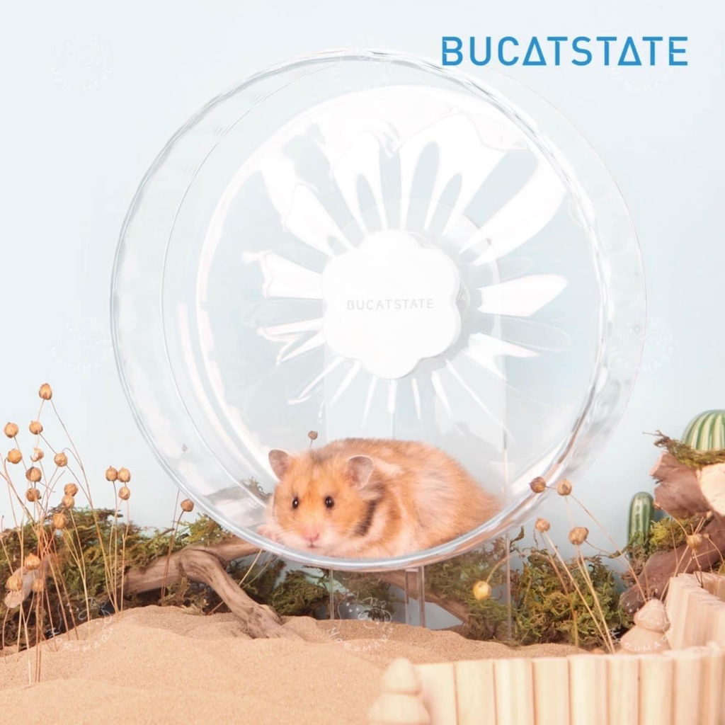 [Bucatstate] จักรวิ่ง Starry จักรวิ่งอะคริลิค จักรวิ่งหนูแฮมเตอร์ จักรวิ่งเม่นแคระจักร26.5cm 21cm