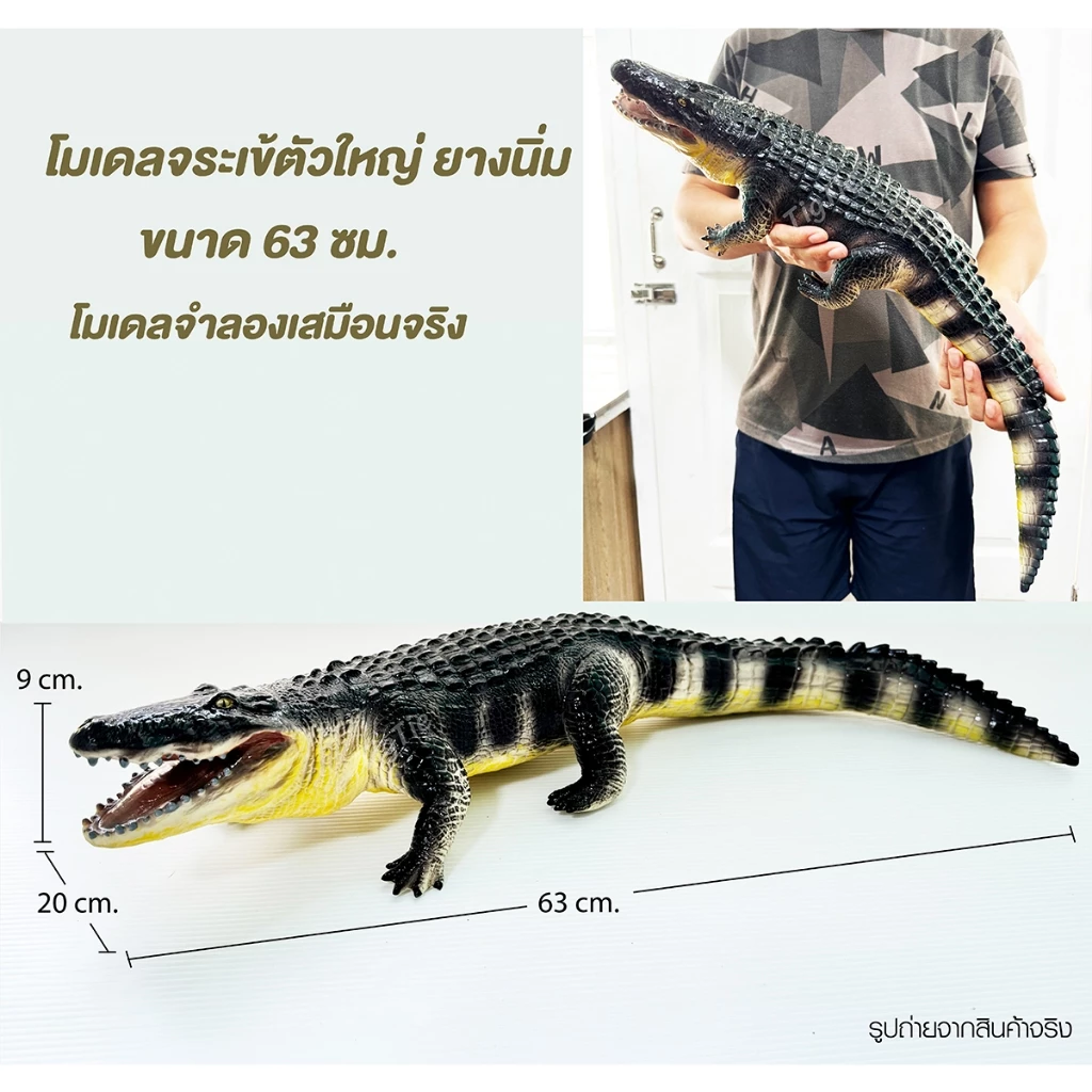 โมเดลจระเข้ตัวใหญ่ยางนิ่ม 63 ซม. โมเดลจระเข้ตัวใหญ่ยางนิ่ม 56 ซม.โมเดลสัตว์จำลองตัวใหญ่เสมือนจริง