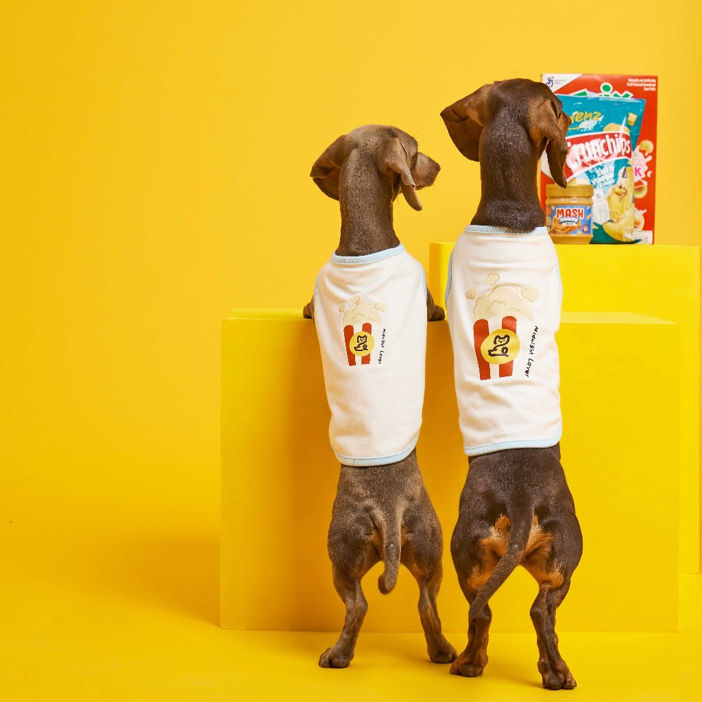 Midnight Layer – All Day Brunch Collection - เสื้อผ้าสัตว์เลี้ยง (Popcorn)