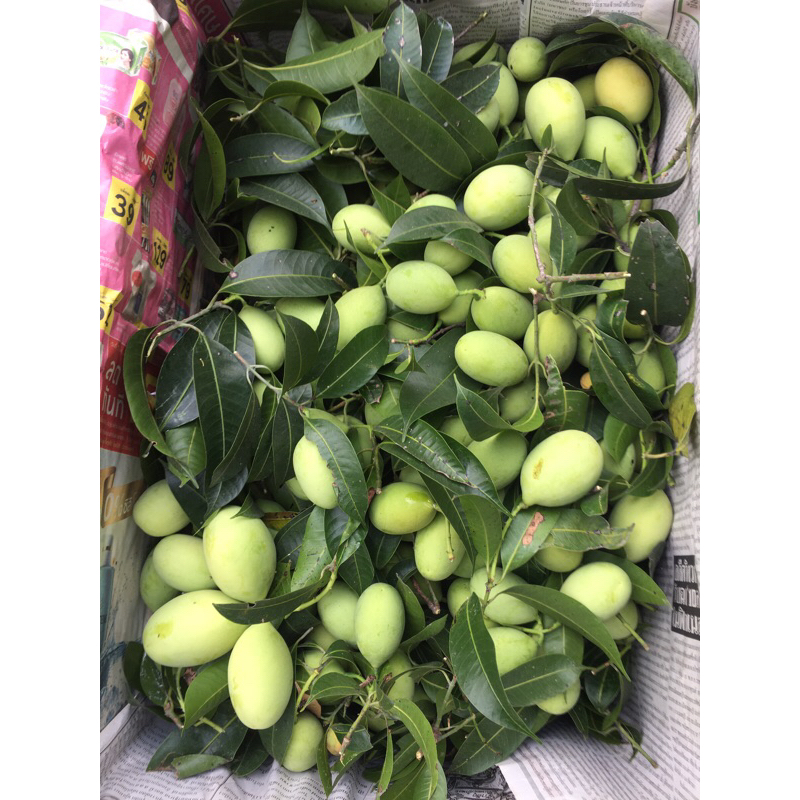 รูปภาพ 7