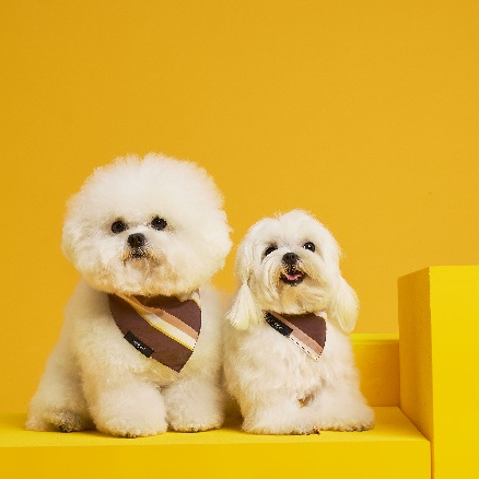 Midnight Layer - Stripy Collection - ผ้าพันคอสัตว์เลี้ยง (Lilac)