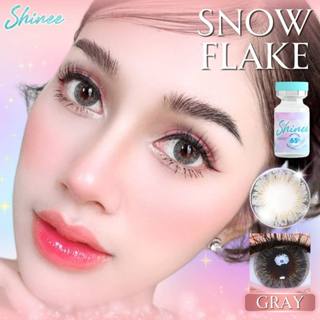 🔥 คอนแทคเลนส์ ✨ขนาดบิ๊กอายโตมาก✨Brown/Gray✨ Snow Flake (Shin…