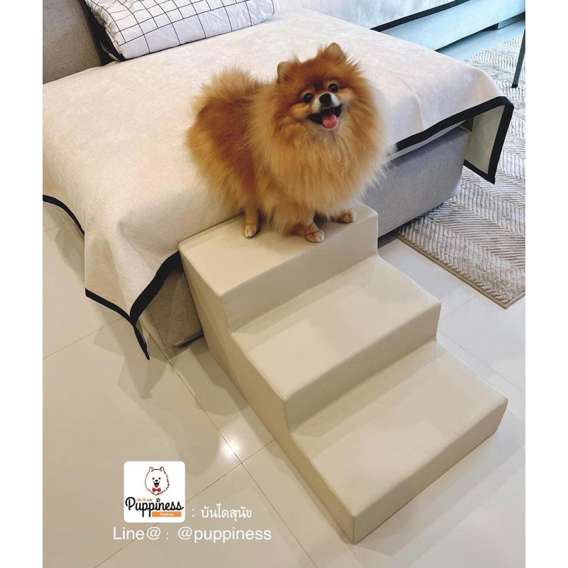 บันไดสุนัข บันไดหมา ขนาด 3 ขั้น : 40x60x36 ซม. (กxยxส) ความสูงต่อขั้น 12 ซม.ความกว้างต่อขั้น20ซม.