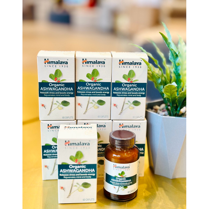 โสมUSA   Himalaya Ashwagandha 60 Caplets โสมอินเดียสกัด USA