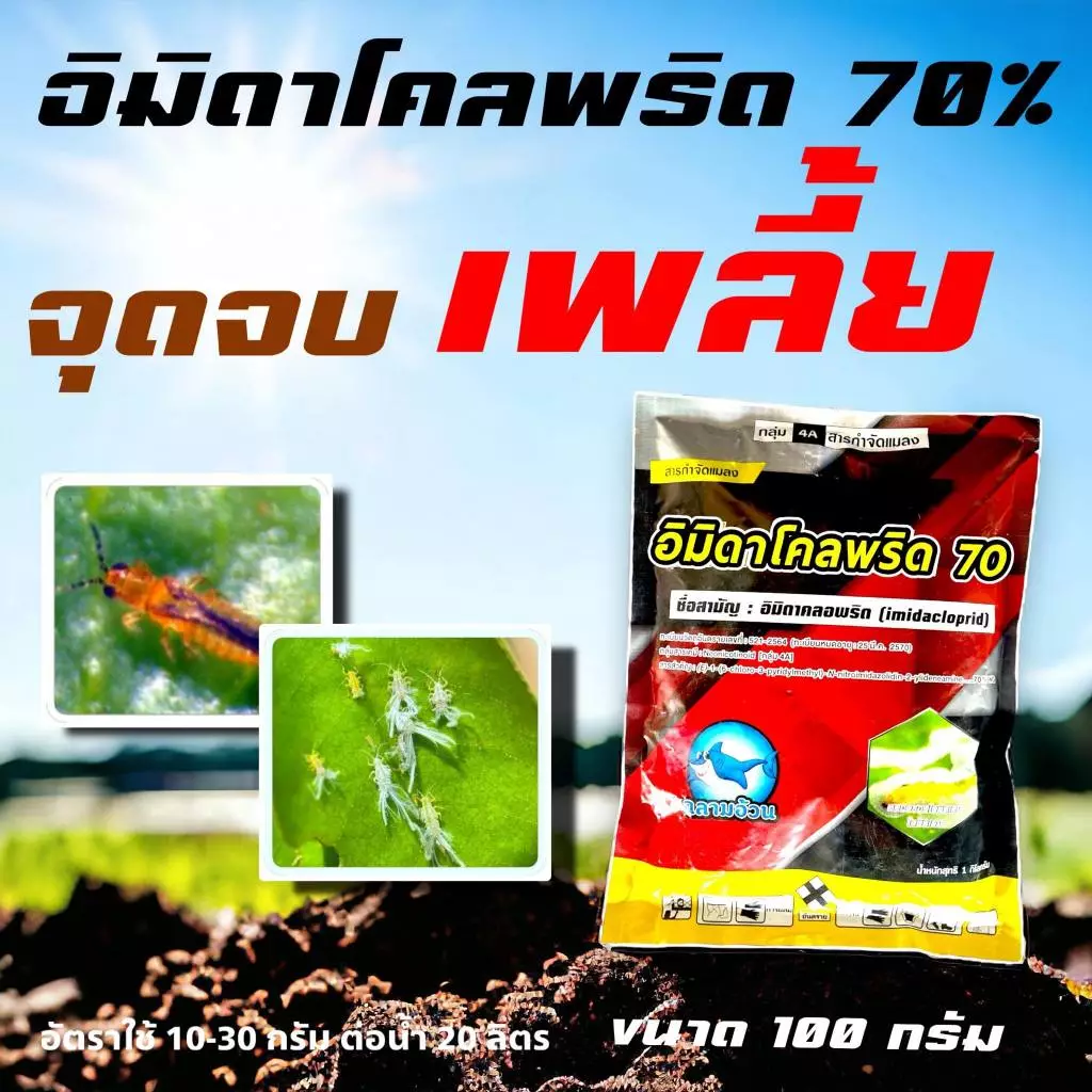 อิมิดา 100 กรัม🛑 อิมิดาโคลพริด อิมิดาคลอพริด 70% จีวาโด้ กำจัดแมลง เพลี้ยไฟ เพลี้ยจักจั่น เพลี้ยไก่แจ้ เพลี้ยแป้ง แมลง