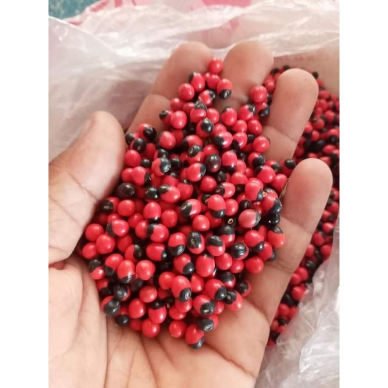 มะกล่ำตาหนู ขายเมล็ด1ขีด100บาท(สำหรับทำยาหรือทำงานประดิษฐ์