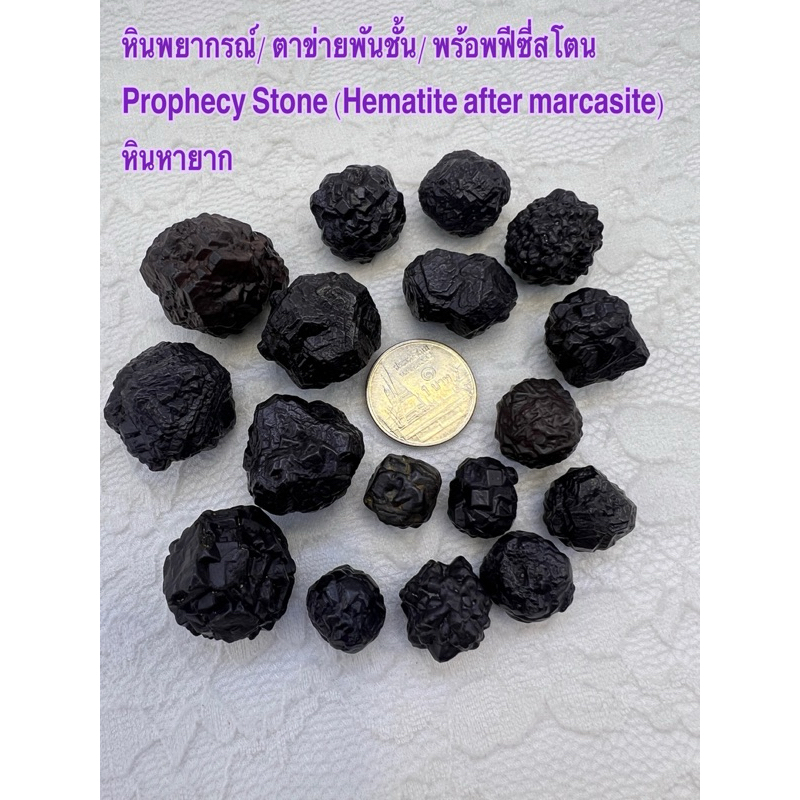 หินพยากรณ์ Prophecy stone ขนาดพกพา ชิ้นละ (Hematite after marcasite) หินหายาก