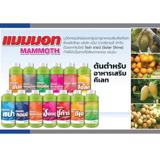 [ส่งฟรี] แมมมอท ยกลัง 16 ขวด อาหารเสริม อาหารรอง เทพวัฒนา ยกลัง ขวดลิตร