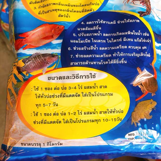 บาซิลลัส999 จุลินทรีย์ผงสำหรับบำบัดน้ำเสียในบ่อเลี้ยงสัตว์น้ำ ช่วยสร้างสีน้ำ ลดความเครียด ควบคุม pH