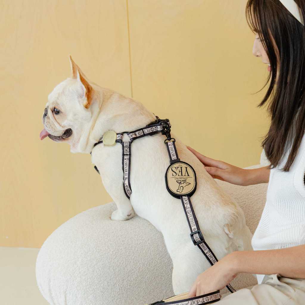 DOGGU PETS Madeleine Collection Harness and Leash SET