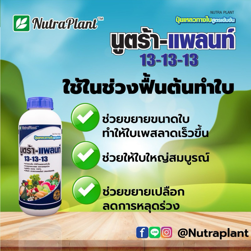 13-13-13นูตร้า-แพลนท์