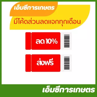 MRT-182 ลูกปืนสลักลูกสูบ NB411 RM411 NB03 RBC411 อย่างดี ยี่ห้อ MARTENS เครื่องตัดหญ้า
