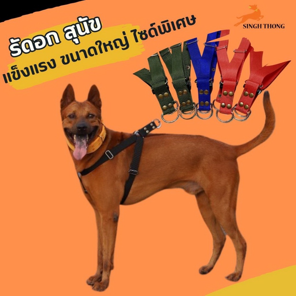 SINGHTHONG สายรัดอกสุนัข สายรัดตัวสุนัขพันธุ์ใหญ่ สายรัดหน้าอก ปรับได้ เหมาะกับสุนัขขนาดกลาง ขนาดใหญ่ ใหญ่พิเศษ