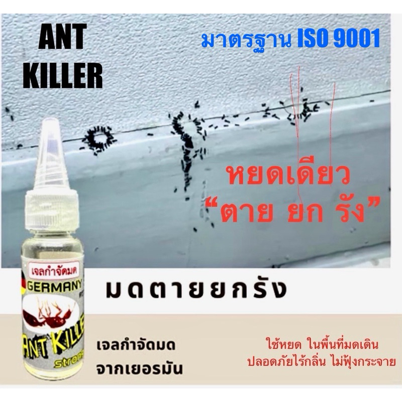 ซื้อ เจลกำจัดมด ยาฆ่ามด  #ANT BAIT #Ant Killer หยด เดียว “ตายยกรัง” ปลอดภัยไร้กลิ่น ไม่ฟุ้งกระจาย เนื้อเจลใส ปริมาณ 25 กรัม