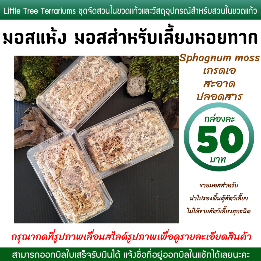มอสเลี้ยงหอยทาก มอสแห้ง สแฟ็กนั่มมอส Sphagnum moss กล่องละ 50 บาท