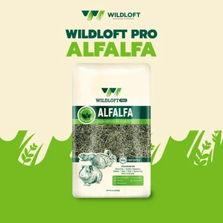 CatHoliday ไวล์ดลอฟ หญ้าทีโมธี อัลฟาฟ่า ซุปเปอร์พรีเมี่ยม Wildloft Premium Timothy Alfalfa ร่อนฝุ่น 1 กก.