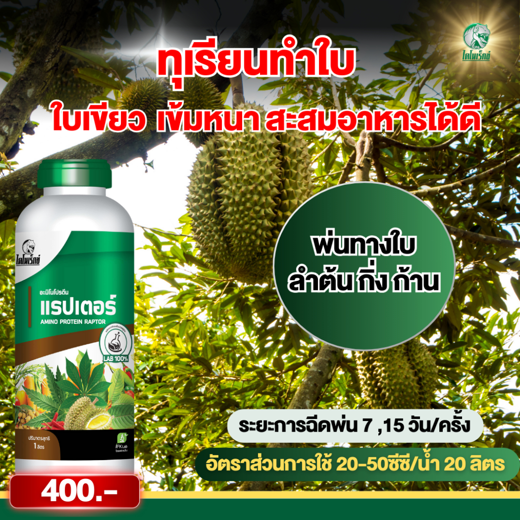 ทุเรียนทำใบ เพิ่มใบ เร่งแตกยอด ใบเขียวเข้ม ใหนา ใบมัน  เร่งต้น ฉีดพ่นทางใบ ขนาด 1 ลิตร
