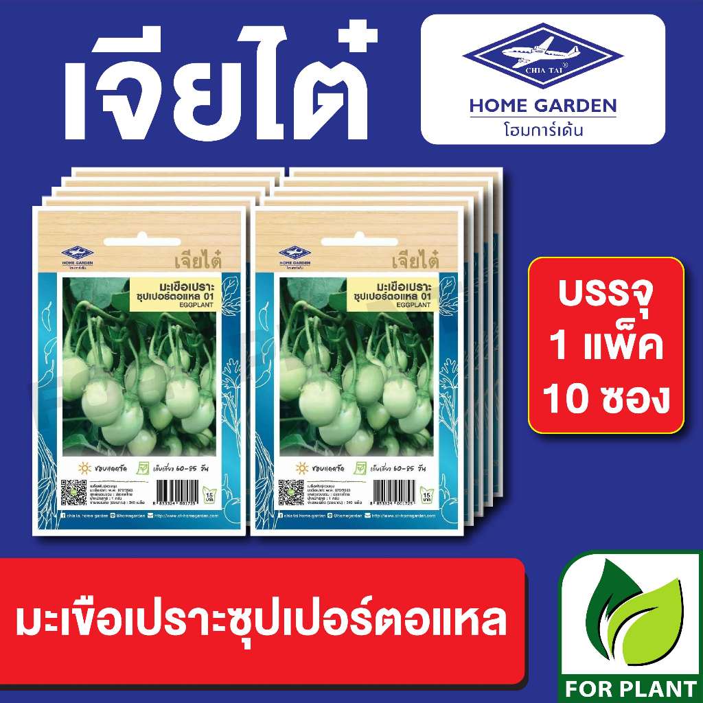 เมล็ดพันธุ์ ผักซอง มะเขือเปราะ ซุปเปอร์ตอแหล ct15 ตราเจียไต๋ CT15 บรรจุแพ็คล่ะ 10 ซอง ราคา 75 บาท